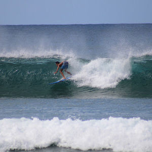 Meet your Posher, Jaydyn